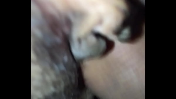 trim.60D16D79-C25D-4A7C-BB12-0105CBA24F66.MOV 