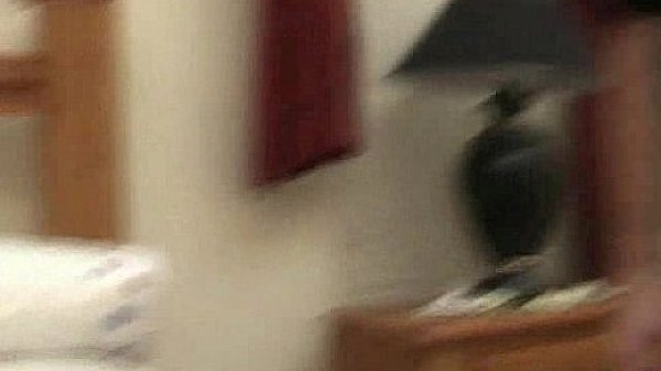 Asian Sex Doll 026 thumbnail