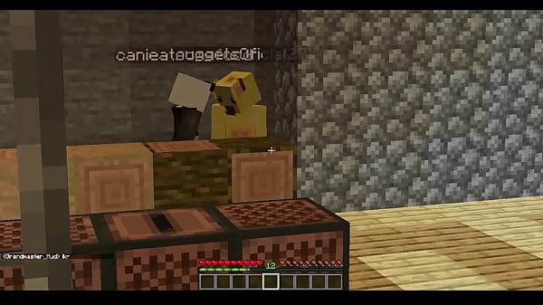 Me and the boys fuck it out in minecraft 