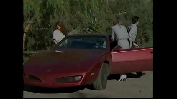 Playful brunette houseife Tera Heartbecame_very horny when_she and_her husband vereviewingsuburban house_with allthe modern amenities