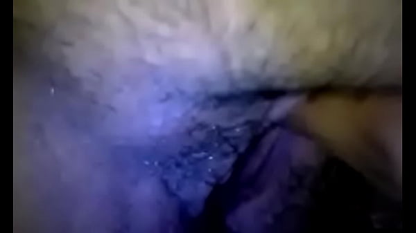 Travesuras de monito 