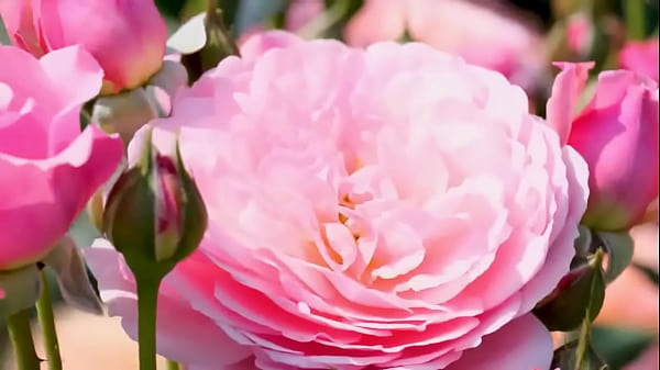 Play MP4 - My college friend fucked me&period;