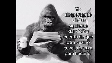 Siempre lo mismo.
