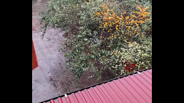 Video x&aacute_c minh