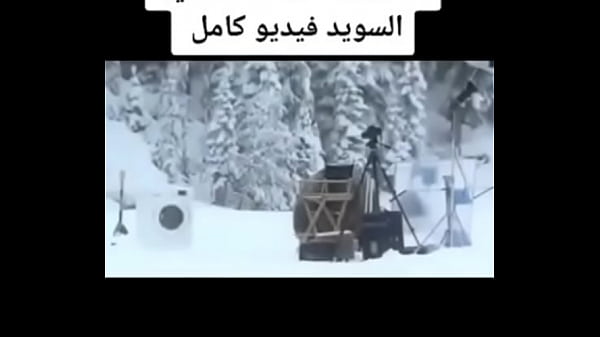 فيديو التحقق 