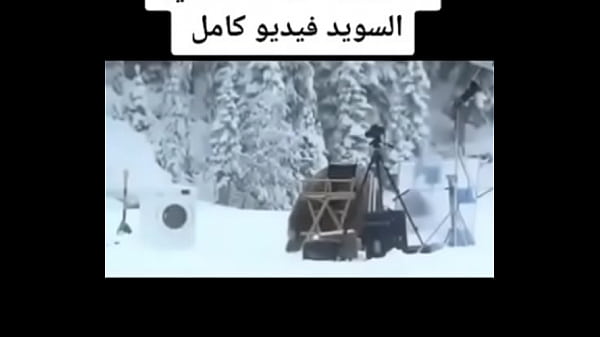 فيديو التحقق