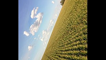 Nonton Hetero Enfiando Milho Inteiro No Cuzinho thumbnail