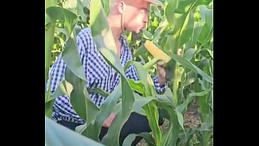 Hetero enfiando milho inteiro no cuzinho