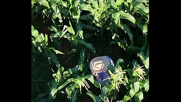 Hetero enfiando milho inteiro no cuzinho 