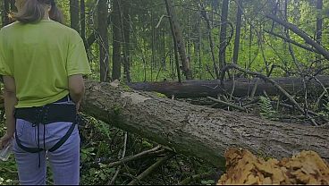 Anastasia Mistress pegging anal submission man amateur outdoor 