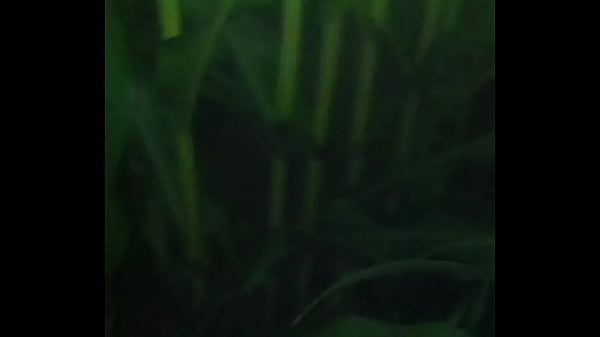 Through the field only with g string