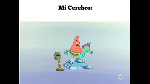 V&iacute_deo de verificaci&oacute_n