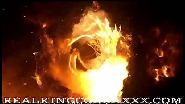 Happy what we need hot new content alert sharing king cobra 6 what we need feat sexy milfs 