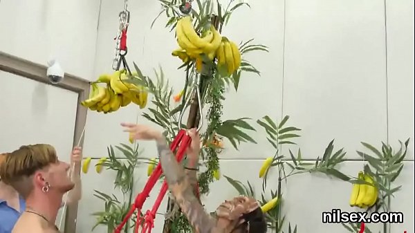 Randy sweetie_is brought in_anal assylum for awkward therapy