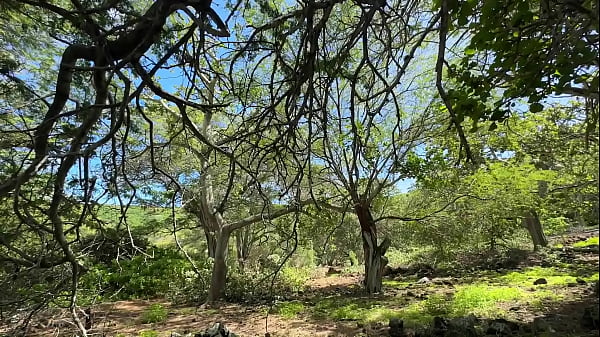 Nonton Last Week I Posted Part 1 Of My Reading My Erotic Novel, "from This Night, Forever More." The 600-page Book Can Be Purcha ... thumbnail