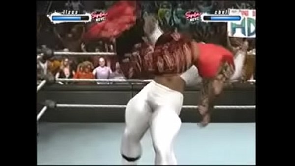 the danger_twins vs the bullies