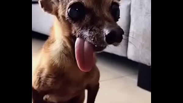 V&iacute_deo de verificaci&oacute_n