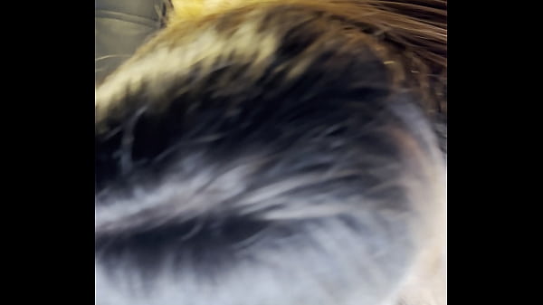 Play MP4 - Hot babe massages my thick cock & swallows deep inside&comma; 4K sloppy deepthroat