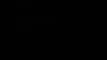 Nonton Blowjob In The Shower (homemade Video) Feat. Chavitaxxx thumbnail