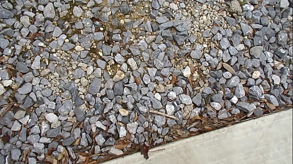 Nonton Goood Cum In Driveway.avi thumbnail