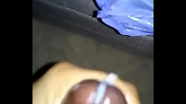 S 198044291171070547 