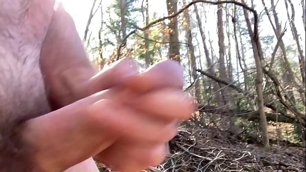 Play MP4 - Interrupted masturbation