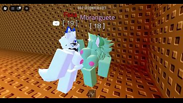 Looking at Roblox Furrys Fucking 