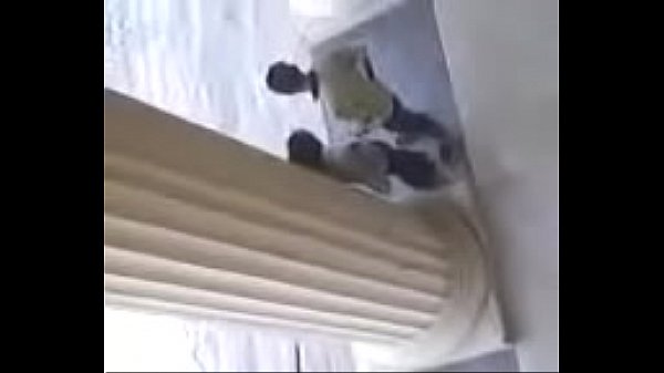 Play MP4 - VID-20170831-WA0003