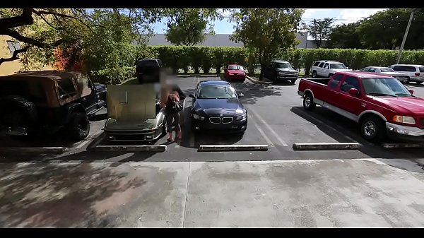 Fine young_dilettante copulates