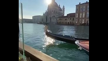 Ice4zal All Socials thumbnail