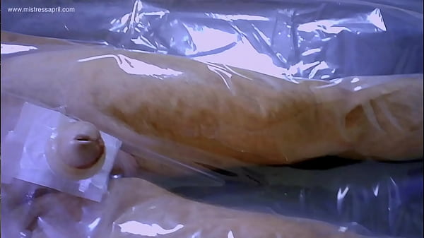 Play MP4 - Dominatrix Mistress April - fresh warm pee