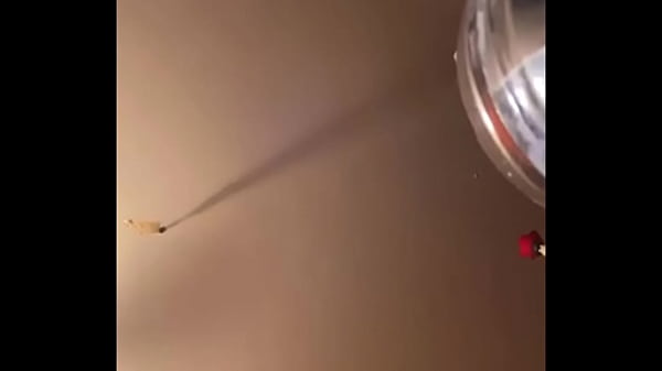 Ebony Loose Booty thumbnail