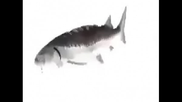 Paz Dando Varias Vueltas Aaaaaa Noce Q Mas Poner Xd thumbnail