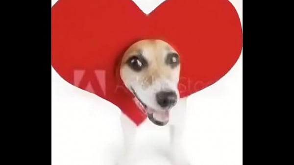 Video bokep part 65402999 