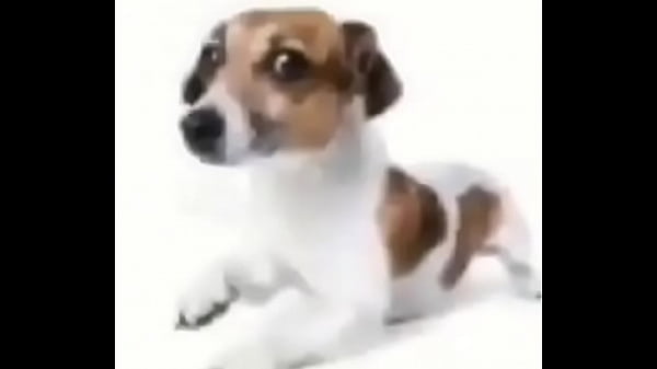 Video bokep part 65402999 