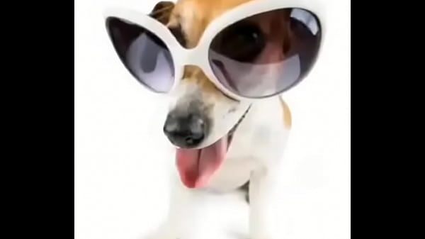 Video bokep part 65402999 