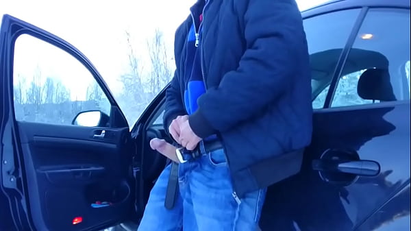 Norwegian showing cock 