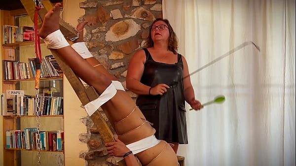 Rose Climbs The Ladder thumbnail