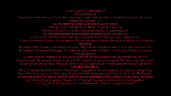 Nonton Pov: Your Stepmom Is Getting Railed By An Alpha Stud (free) thumbnail