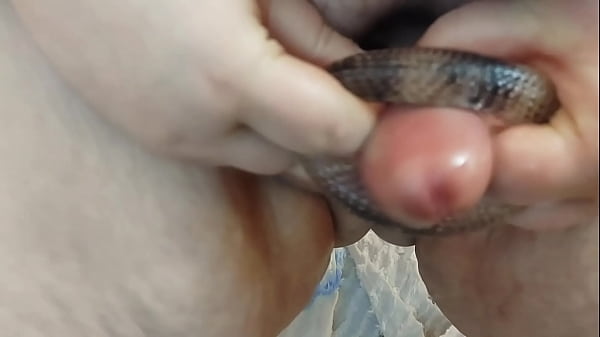 Chubby POV Tranny Screws Sex Toy n' Cumshots 