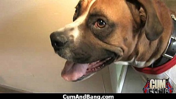 Nonton Nasty Group Blowjob Porn Video 13 thumbnail