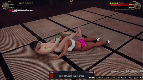 Niko VS Felicity Naked Fighter 3D