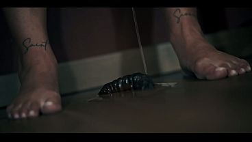 Nonton Lesbian Parasited Alien Strapon Double Dildo - Octokuro Vs Amirah Adara Vs Clemence Audiard Threesome thumbnail