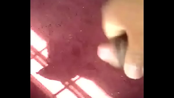 Nonton Latino Cum thumbnail