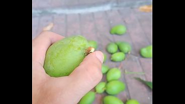 Nonton Deslechando El Mango En La Ma&ntilde;ana thumbnail