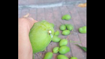 Deslechando el mango en la ma&ntilde;ana 