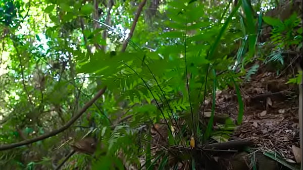 Natural sounds  1234567891011121314151617...111Next SEXBOKEP adalah Website Bokep Indonesia Terbaru dan Terlengkap Gratis dimana Anda dapat menonton streaming video bokep dan download vidio bokep terbaru yang sedang viral dengan aplikasi bokep android, Aplikasi bokep free download simontok app terbaru 2026 for PC Mobile Online dan HP     Contact Us   DMCA   Disclamer   Privacy and Policy   Conditions of Use  &copy; 2026 SEXBOKEP All rights reserved