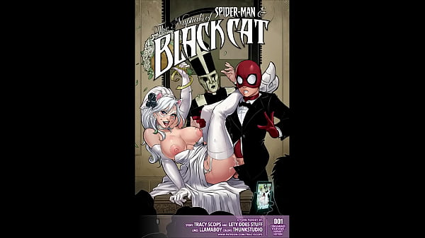 The Nuptials of Spider Man and Black Cat_Comic Dub