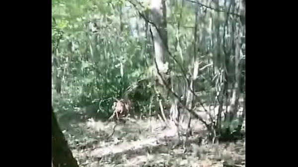 Nouveau teaser gratuit HARD MISSION IMPOSSIBLE N&deg; 5La For&ecirc;t Si tu veux ... 