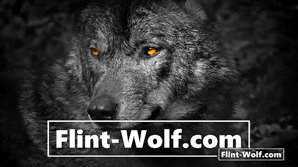 Cum Every Day for ONE YEAR! 